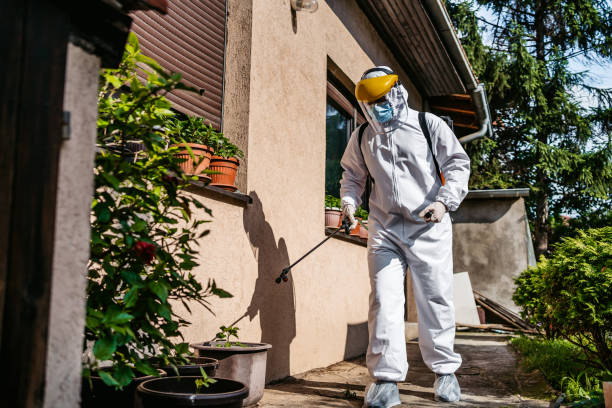 Trusted Poway, CA Pest Control Experts