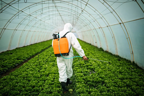 Pest Control for Restaurants in Poway, CA