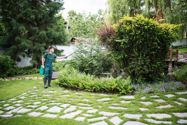 Best Pest Control for Restaurants  in Poway, CA