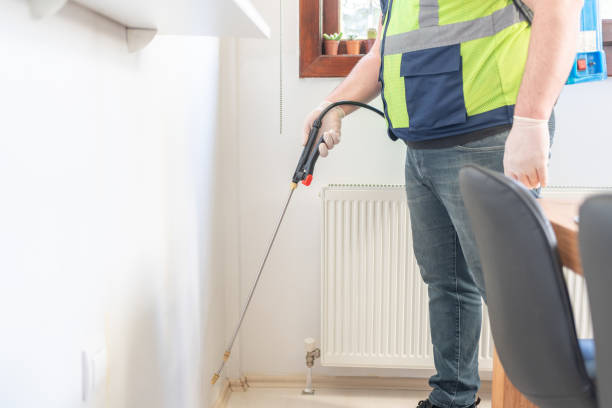 Best Termite Control Services  in Poway, CA