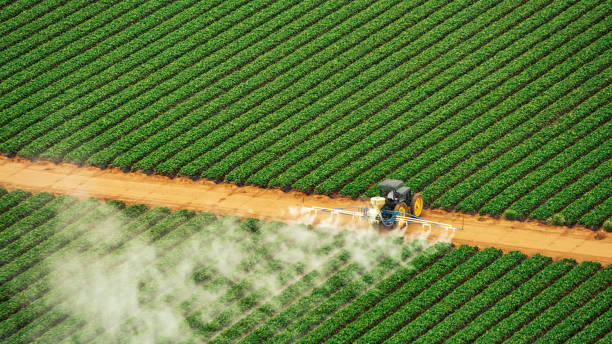 Best Commercial Pest Control Services  in Poway, CA